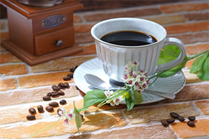 【期間限定】限定スペシャリティコーヒー